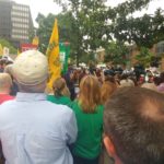 HPAE Site Image: pic3